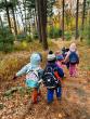 Educating Our Youth Through Forest Explorers NYC