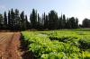 Ottawa unveils $3.2B Food Security Strategy to cut grocery costs and boost Canadian agriculture