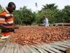 Parliament passes Ghana Cocoa Board Bill to guarantee farmers 70% of FOB