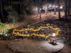 Music in the forest: 12 unique performances
