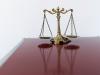 Swiss human rights activist fined for inciting violence