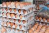Breakfast Table Politics: Who Scrambled Egg Prices? DOJ Accuses Egg Producers of Price Manipulation