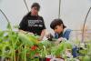 Tribes hope Farm Bill can feed more people and preserve Indigenous culture