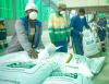 Zambia’s bumper harvest masks likely food insecurity amid geopolitics and climate threats