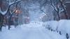 Top 10 Coldest Countries in the World (2026): See Full List