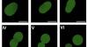 Breakthrough: Scientists made a living cell from scratch. Then it reproduced
