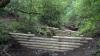National Trust and United Utilities install ‘leaky dams’ to stop flow of runoff into Lancashire river