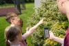 Northern Ireland now has 6,000 More Trees and 1,427 More Animal Habitats
