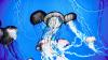 Scientists Figured Out How a Jellyfish Relative Heals Itself in Minutes Without Scarring