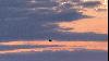 Putin is in danger as Russia’s air defence collapses