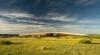 In North Dakota, a Regenerative Presidential Library for Theodore Roosevelt