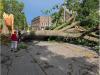 Canada Day wind gusts in Stratford reached nearly 100 km/h