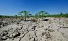 Italy waterways in 'critical state' from drought: authority