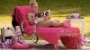'Elle' visits the world before 'Legally Blonde,' but it's something else