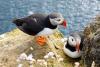 Europe’s Top Birdwatching Destinations