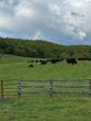 Local Meat Processors Eye USDA Grant Opportunity