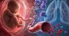 Low Birth Weight May Leave a Molecular 'Fingerprint' That Affects Health Decades Later