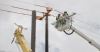 Hawaiian Electric starts steel pole restorations on Maui