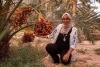 A date in the desert: How agricultural tradition becomes economic growth in Tunisia