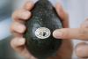 California avocado growers call for import limitations amid Mexico trade talks