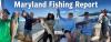 Maryland Fishing Report for Friday, July 3, 2026