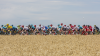 Spain Tour de France fans warned extreme heat could force cancellations for first time in history
