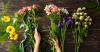 Virginia cut flower growers cultivate joy with creativity