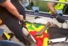 Heartbreaking moment as Senegalese fan reportedly passes out after Belgium's