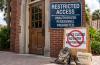 Florida blocks undocumented immigrants from enrolling in colleges