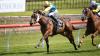 Swiss Prince adds touch of unexpected class to Te Rapa raceday