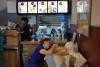 Venezuelan earthquake survivors search for missing pets at ‘Hospital McDonald’s’