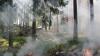 Portugal Wildfires 2026: Risk Map & Traveller Safety