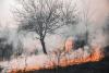 Greece Wildfires 2026: Where Fires Are Burning & Safety