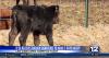 IP 28: a petition that bans hunting, fishing, now on Oregon ballot