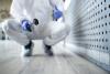 What to Expect From Residential Pest Control in Alaska