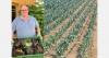 "It wasn't the heat, but hail and heavy rain that severely impacted our field crops"