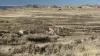 Viewpoint: Unaddressed health risks of Bridger Pipeline