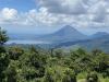 Tropical mountain wildlife are at high risk from climate change impacts, study finds