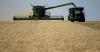 Smaller U.S. wheat production versus sufficient global supplies