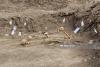 Mass graves acknowledgment: ICMP Director-General confirms what Azerbaijan has asserted for years - ANALYSIS