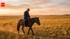 Mongolian proverb of the day: 'A horse knows the road, even if its rider does not'