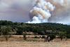 Some 45,000 told to stay inside as forest fire rages in Catalonia