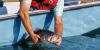 New Arkansas fishing regulations take effect