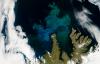 Western Europe's plankton receive zero good sea health scores as waters warm