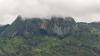 Mozambique's 'sky islands' hid 4 new chameleon species as logging has closed in