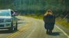 Yellowstone bison injures 12-year-old in Wyoming as park warns they are 'unpredictable'