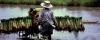 Labor Markets? Energy Prices? Pay Attention To The Farmer’s Parable