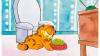 Pop Culture’s 10 Greatest Cats