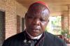 Why did Cardinal Nzapalainga meet Leo XIV?