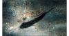 Greek officials urge calm over pufferfish concerns